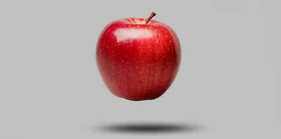 Illustration hanging - Image 1