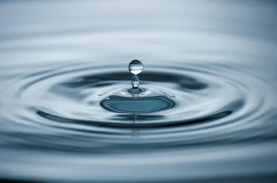 Illustration vibrated - Image 1