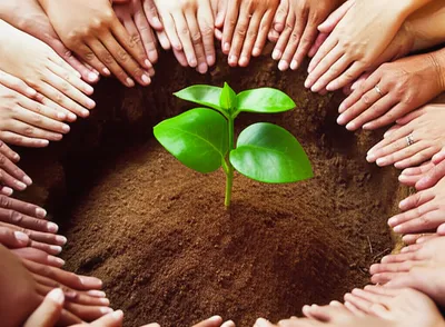 Illustration containment - Image 1