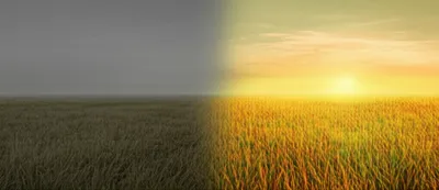 Illustration shone - Image 1