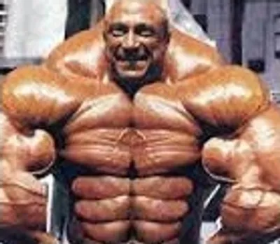 Illustration beef - Image 2