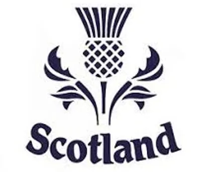 Illustration thistle - Image 3