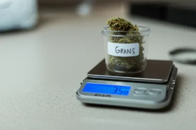 Illustration eighths - Image 1