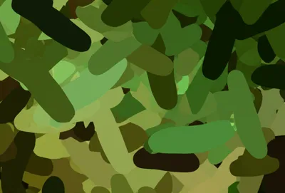 Illustration forest - Image 1