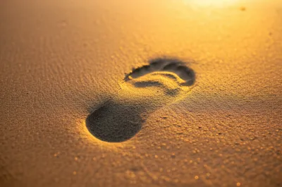 Illustration prints - Image 1