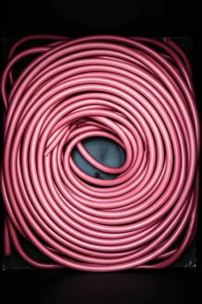 Illustration intestine - Image 1