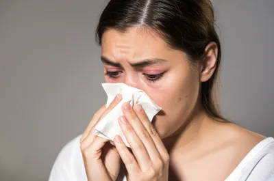 Illustration sniffed - Image 1