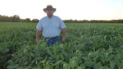 Illustration hind - Image 2