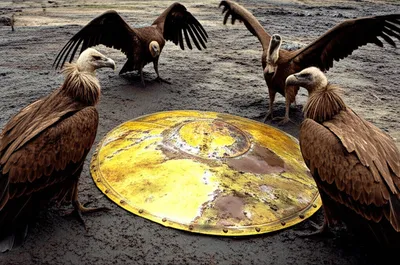 Illustration dishonor - Image 1