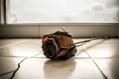 Illustration unpleasing - Image 1