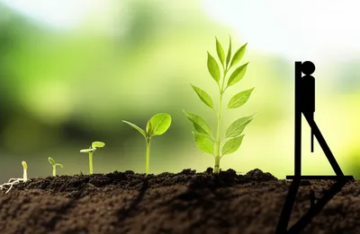 Illustration accelerated - Image 1