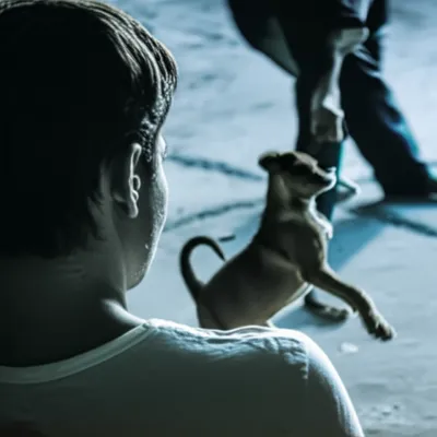 Illustration dignify - Image 1