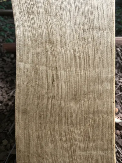 Illustration ironwood