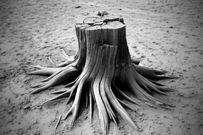 Illustration terminate - Image 1