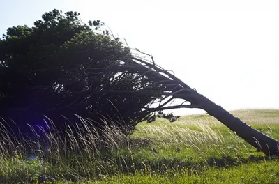 Illustration sway - Image 1