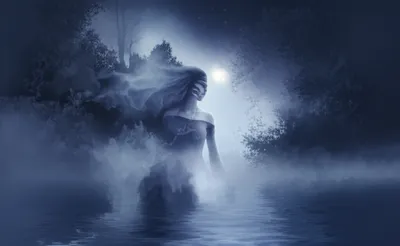 Illustration anima - Image 1