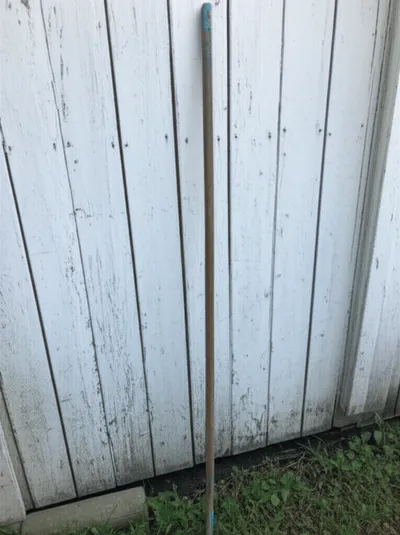 Illustration stale - Image 1