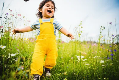 Illustration toddle - Image 1