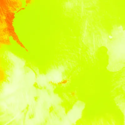 Illustration acacias - Image 1