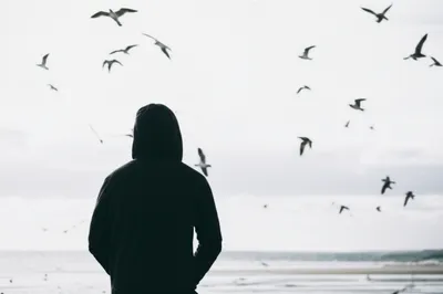 Illustration hoodies - Image 1