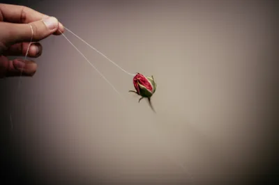 Illustration imply - Image 1