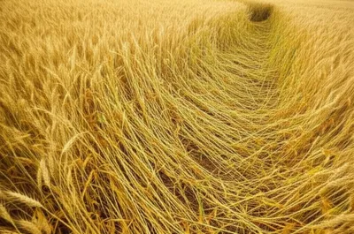 Illustration lodges - Image 1