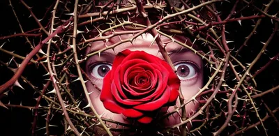 Illustration obsession