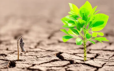 Illustration weakest