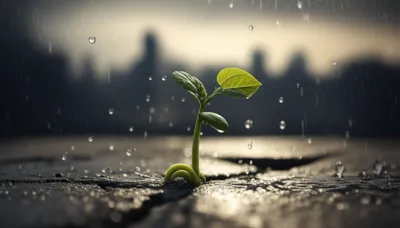 Illustration patient - Image 1