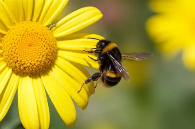 Illustration accompanies - Image 1