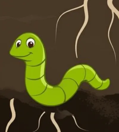 Illustration nematode