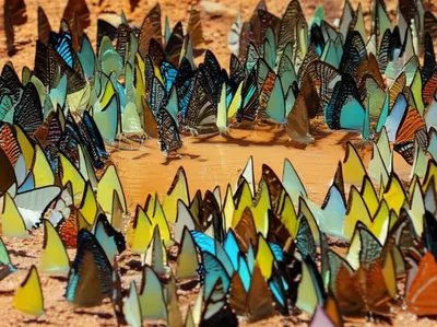 Illustration puddled - Image 1