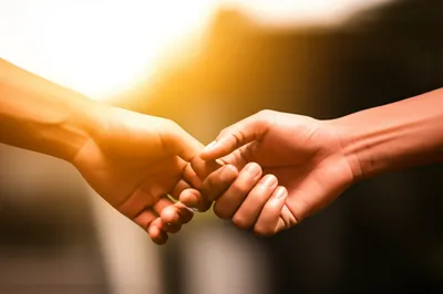 Illustration rejoining