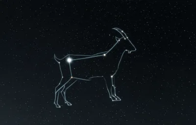 Illustration dorsum - Image 1