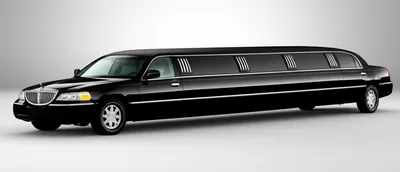 Illustration stretch - Image 1