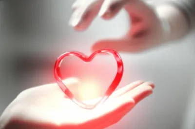 Illustration taken - Image 1