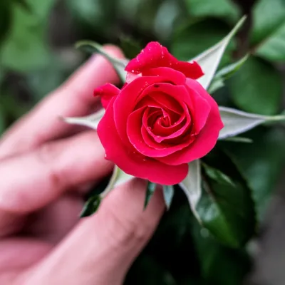 Illustration edge - Image 1