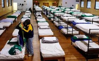 Illustration spike - Image 2