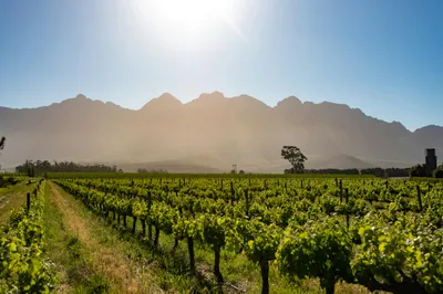 Illustration acreage - Image 1