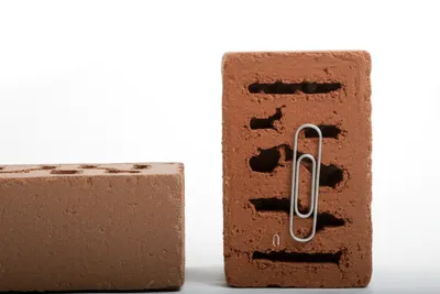 Illustration g - Image 1