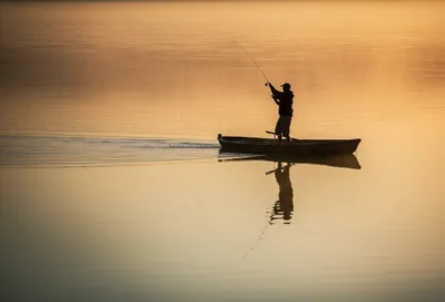 Illustration whipped - Image 1