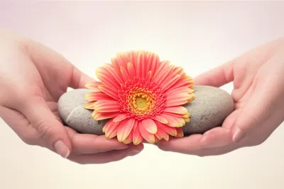 Illustration apposed - Image 1