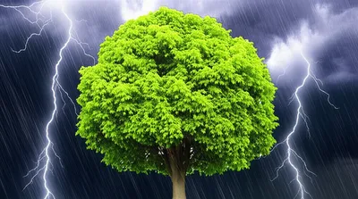 Illustration undiminished