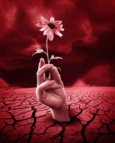 Illustration mortal - Image 1