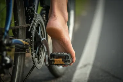 Illustration pedals - Image 1