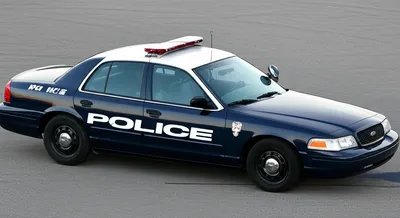 Illustration cruiser - Image 1