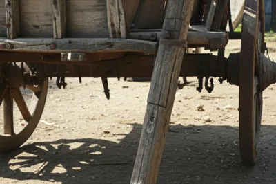 Illustration rungs - Image 1