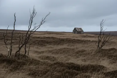 Illustration browner - Image 1