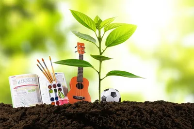 Illustration aptitude