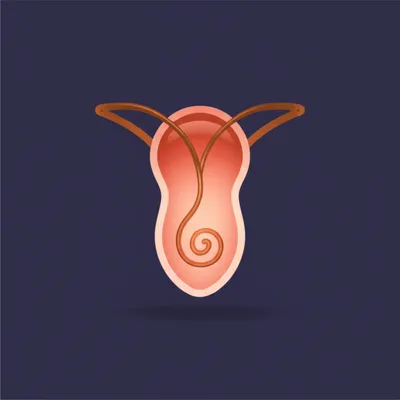 Illustration coils - Image 1